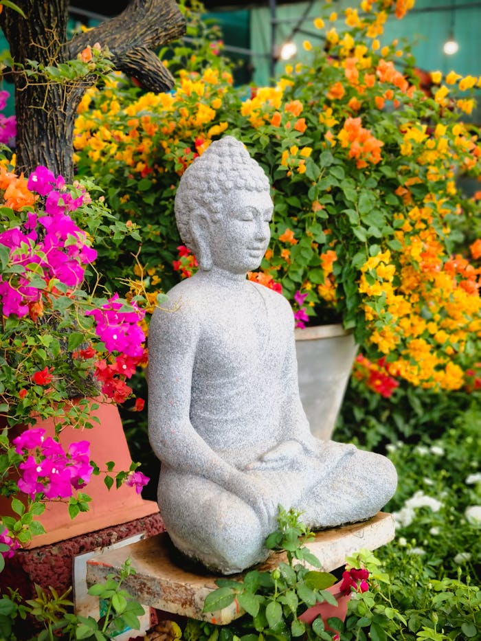 Home Pexels Photo 33200702