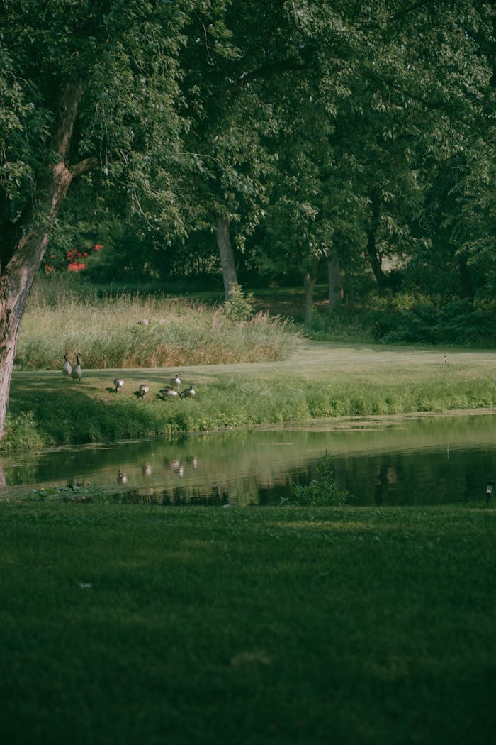 Home Pexels Photo 33250032