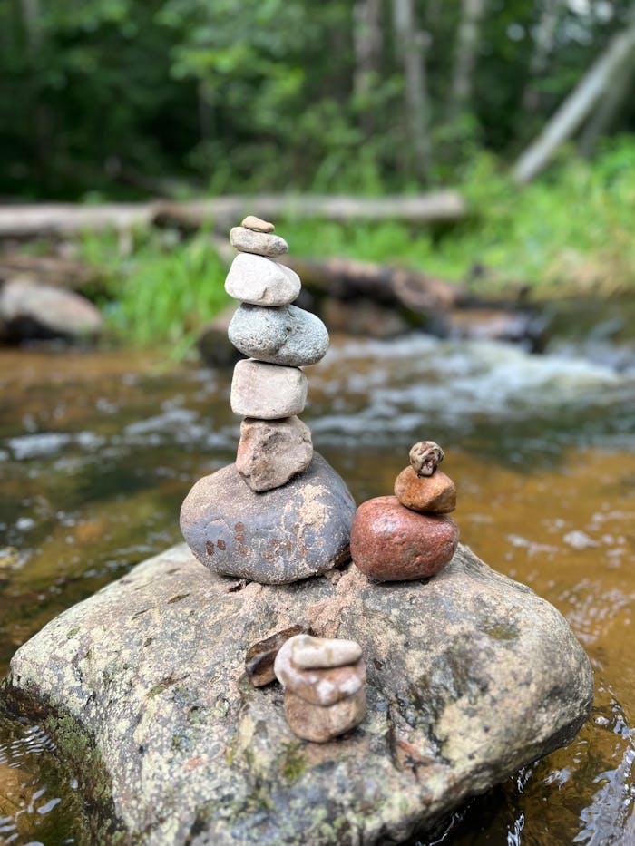 Home Pexels Photo 33251122